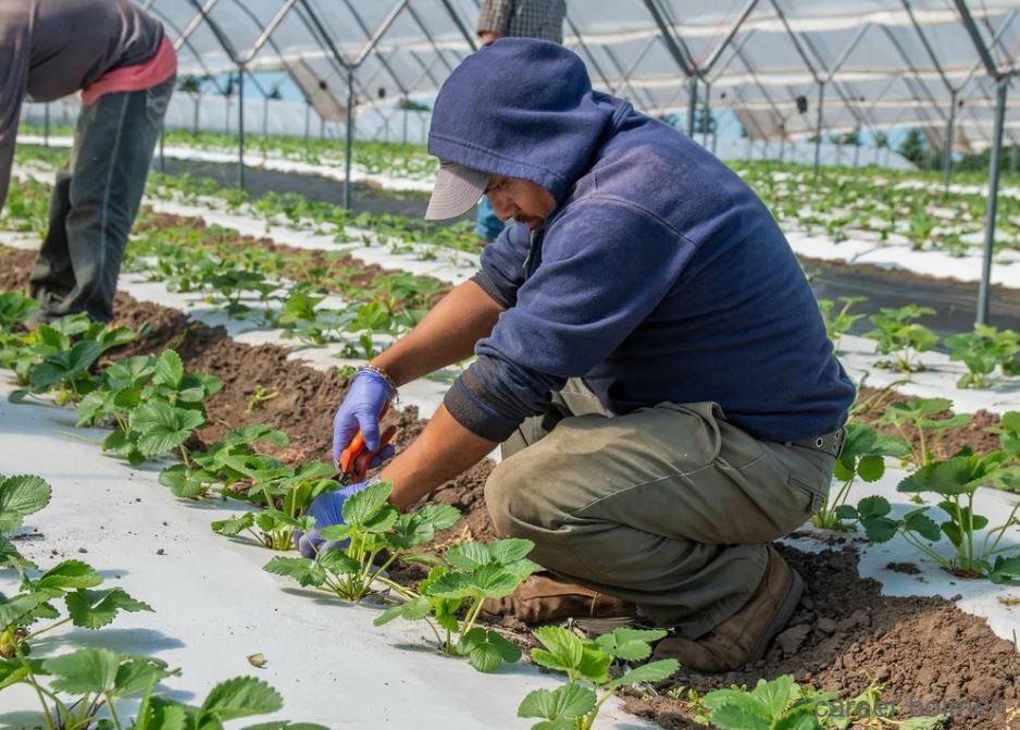 High Paying Farming Jobs